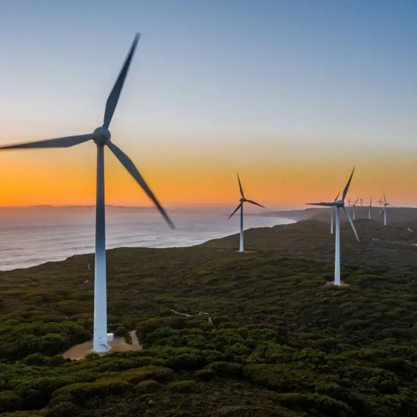 Wind farm in South Australia at sunset